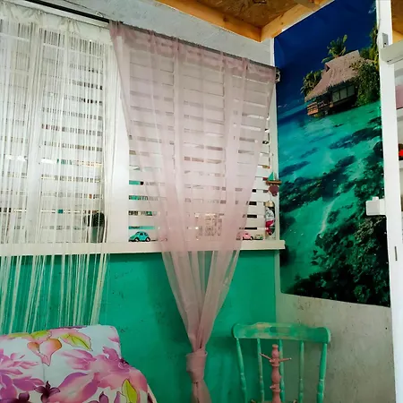 キャンプ場 каравана тропик-екзотик а 17 *