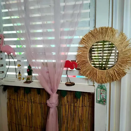 каравана тропик-екзотик а 17