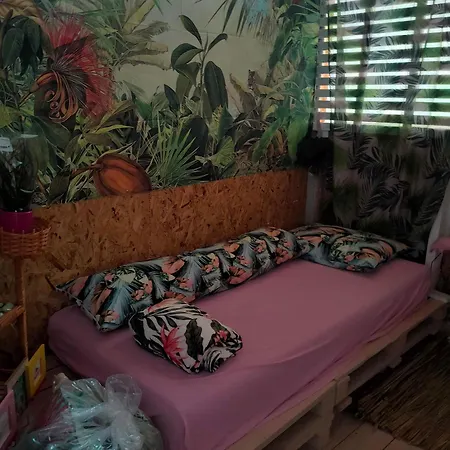 каравана тропик-екзотик а 17