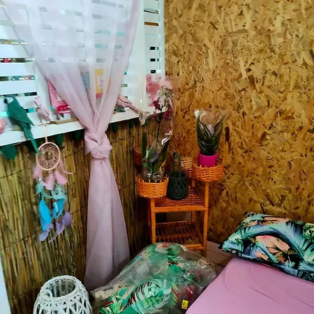 キャンプ場 каравана тропик-екзотик а 17 *